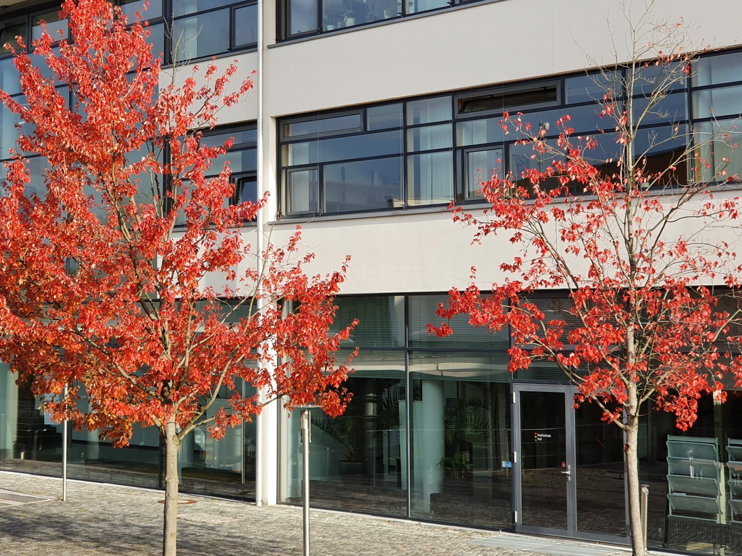 Hochschule Hof im Herbst mit bunten Laubbäumen