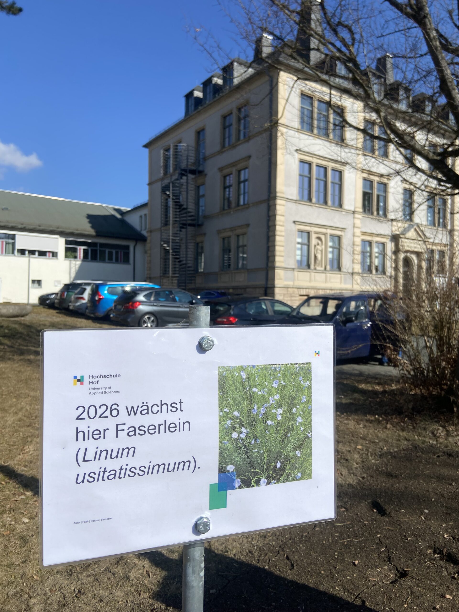 Praxisnahes Lernen mit nachhaltigem Rohstoff - Flachsprojekt am Campus Münchberg - Campuls